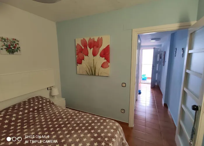 Apartment Tossa Tossa de Mar